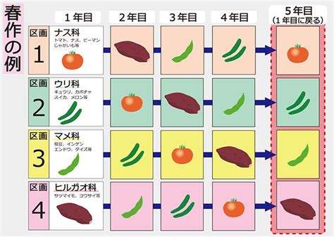 輪作 例